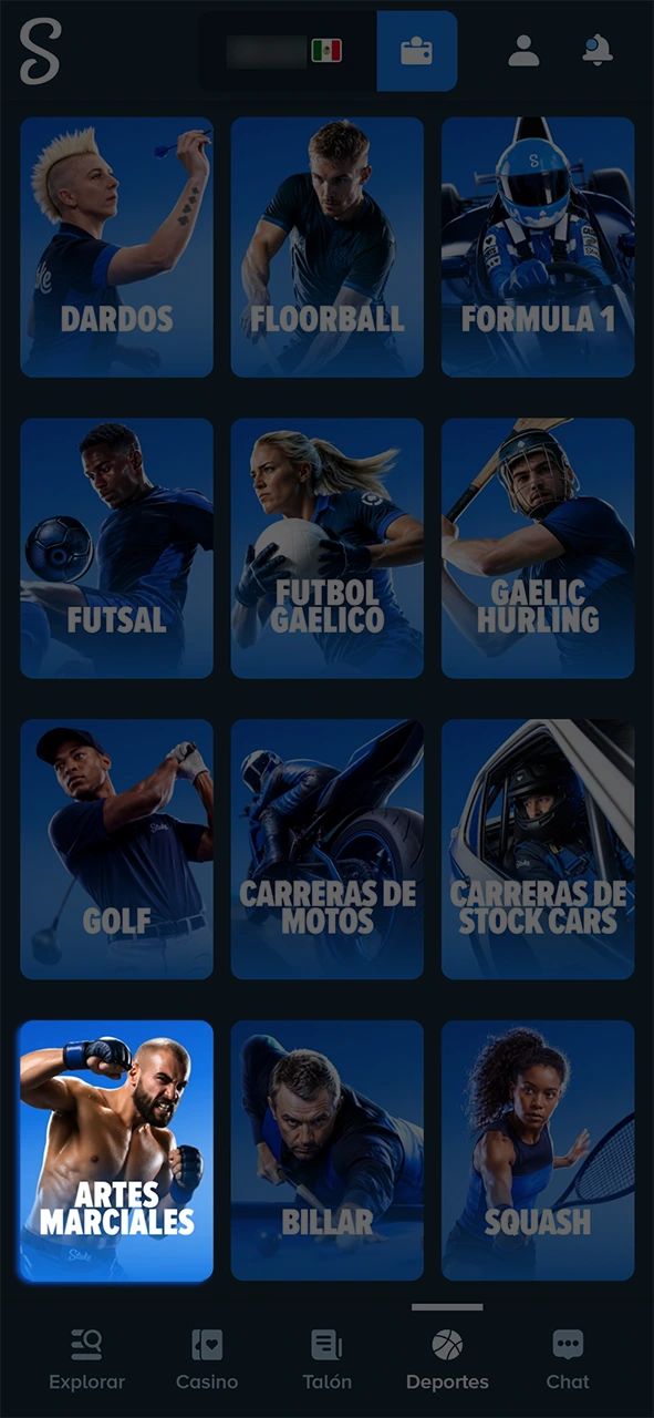 Encuentra las peleas ideales para apostar en mma desde Stake.