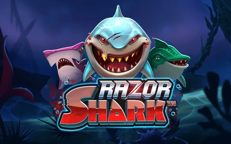 Gana grandes premios en la tragamonedas Razor Shark usando Stake.